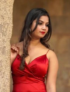 call girl service in Ashish Nagar